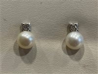 Orecchini Recarlo Donna in Oro bianco Perla 0.11 Ct XD027/0830 - XD027/0830